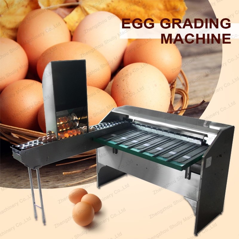 Stainless steel egg grader machine Stainless steel egg grader machine