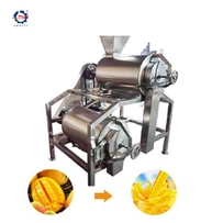 Mango Pulp maskin