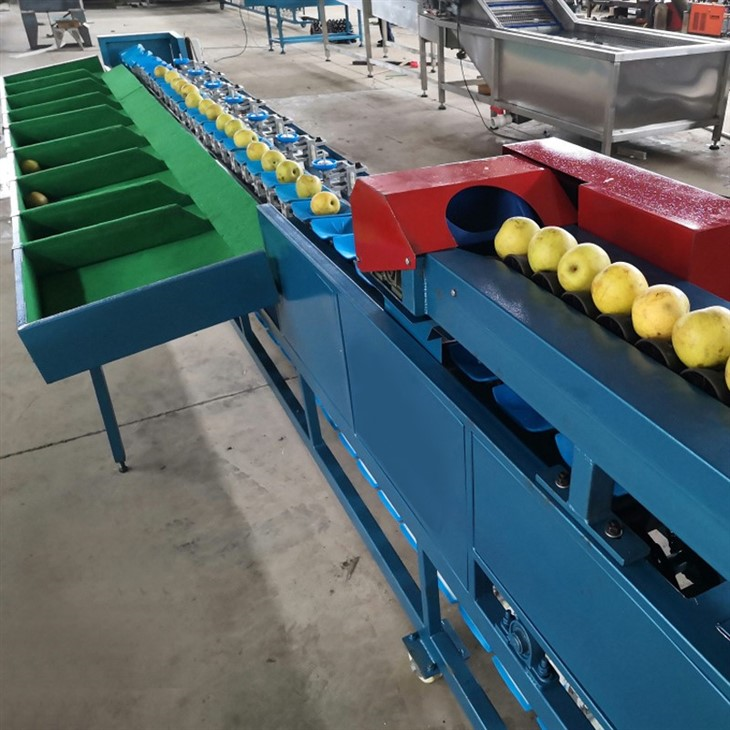 weight sorting machine