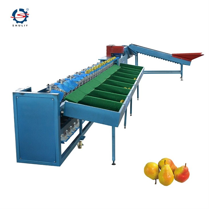 pear weight grading machine