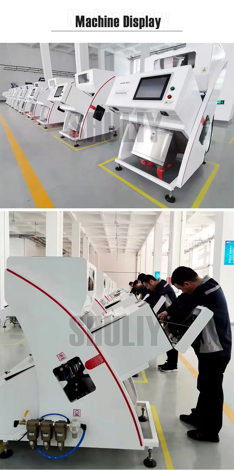 Rice color sorting machine Rice color sorting machine