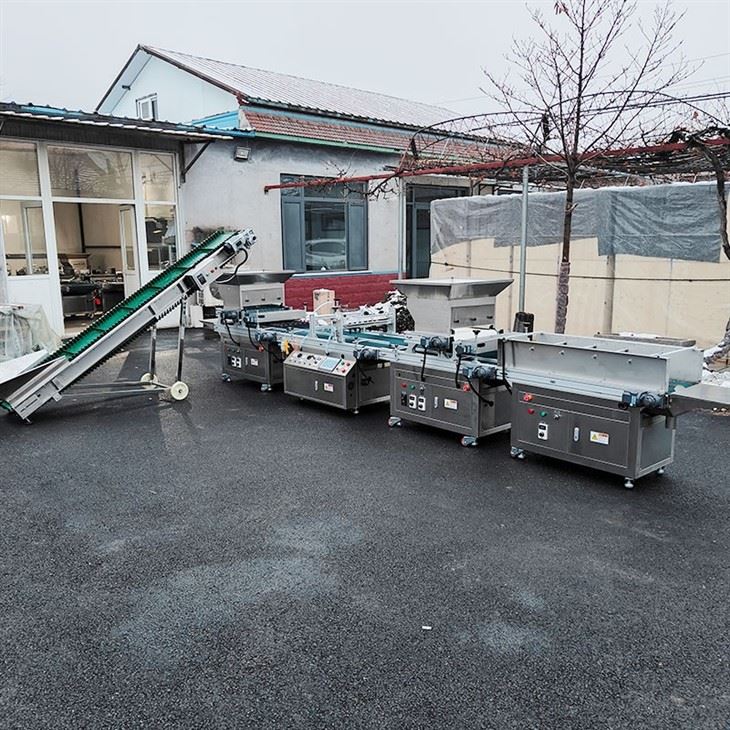 seeding tray machine3